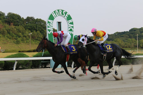 20170528__ 20170528__